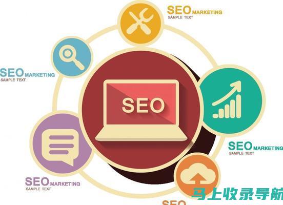 SEO1网站查询：专业工具助你洞察网站表现